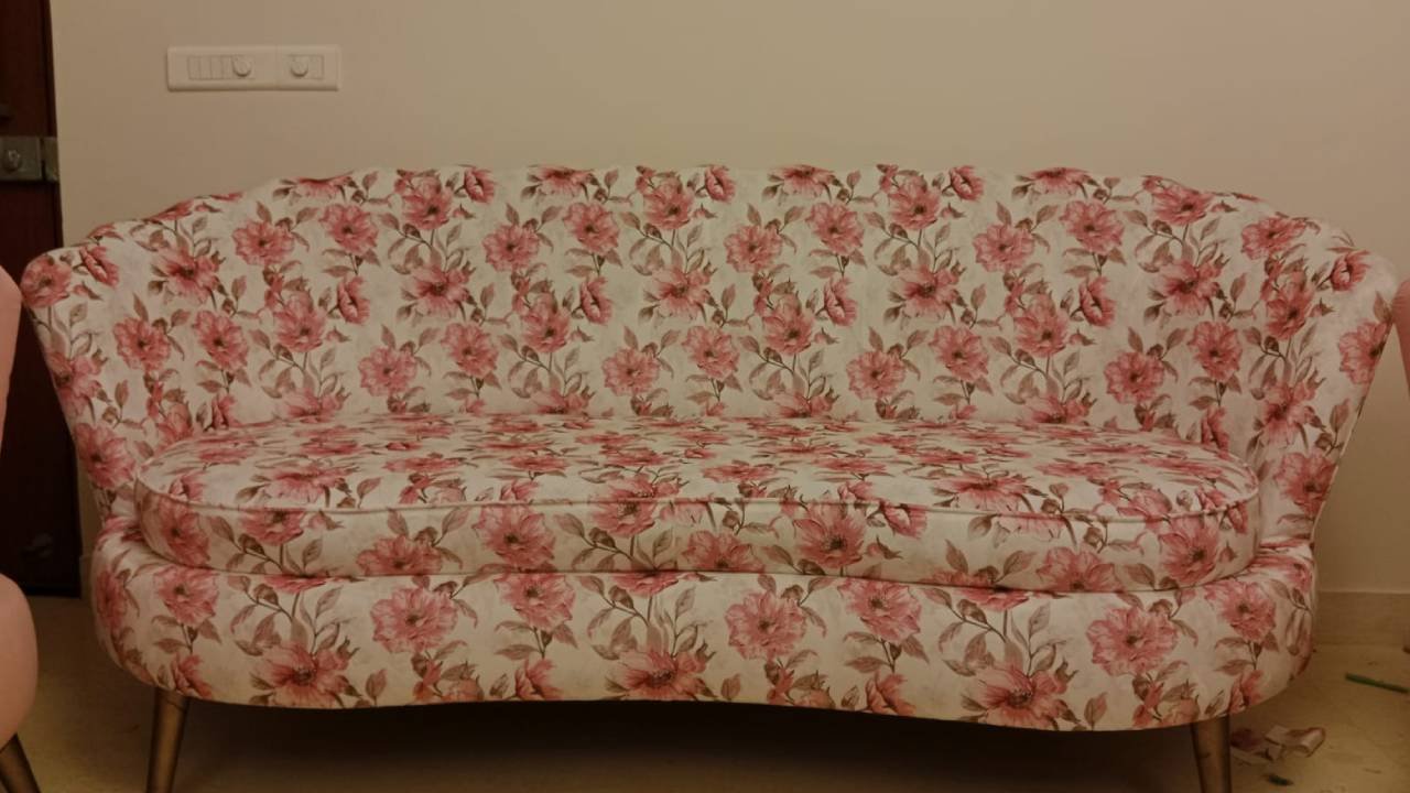 Hind Sofa Repair